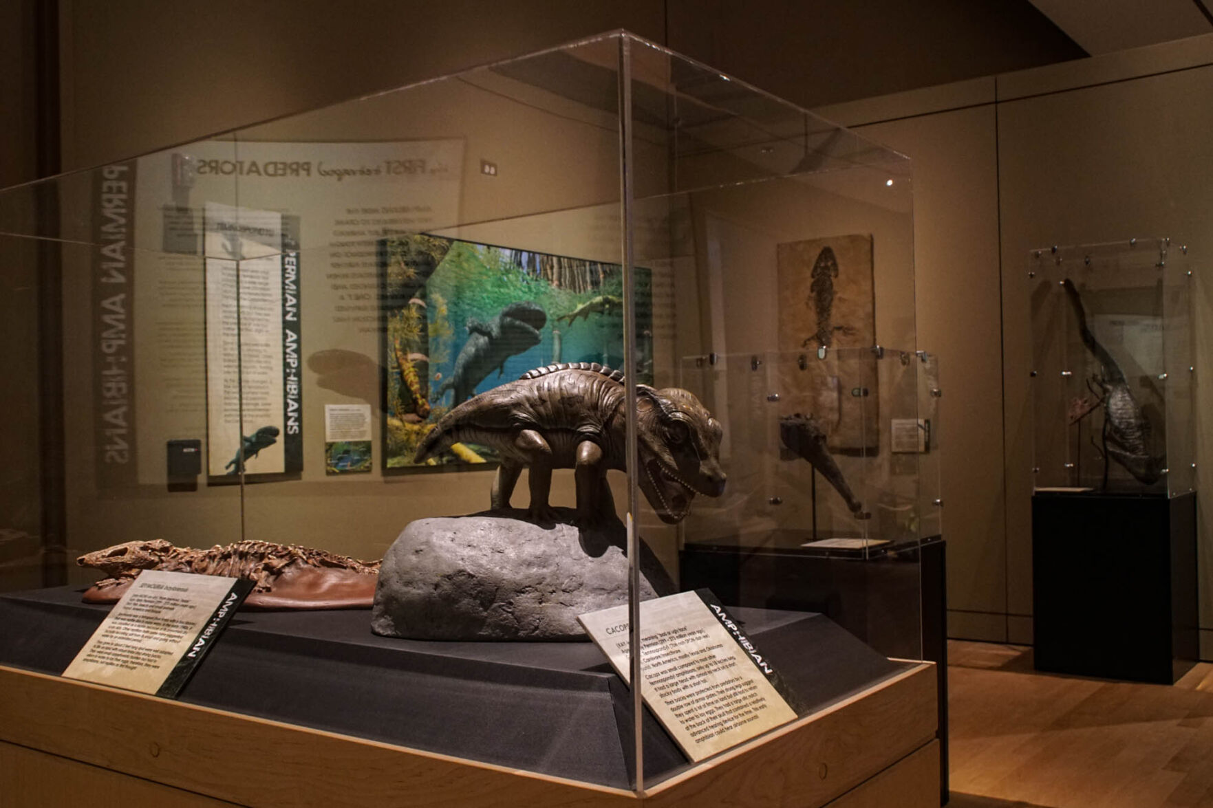Fossils and replicas